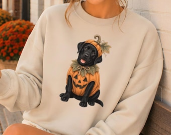 May include: A beige crewneck sweatshirt featuring a graphic of a black Labrador puppy wearing a pumpkin costume with a matching hat. The puppy has a green leaf collar and is sitting. The sweatshirt has long sleeves and a ribbed neckline.