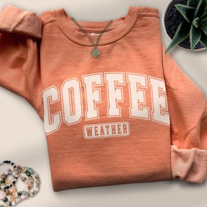 May include: A coral-colored sweatshirt with the words "COFFEE WEATHER" in white block letters. A silver necklace with a pendant is draped over the shirt. A small potted plant is in the background.