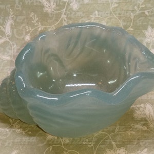 Conch Shell Succulent Planter, air fern planter