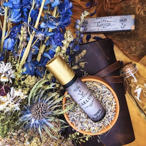 Caelum, Sylvan Scholar: Aromas del suelo del bosque