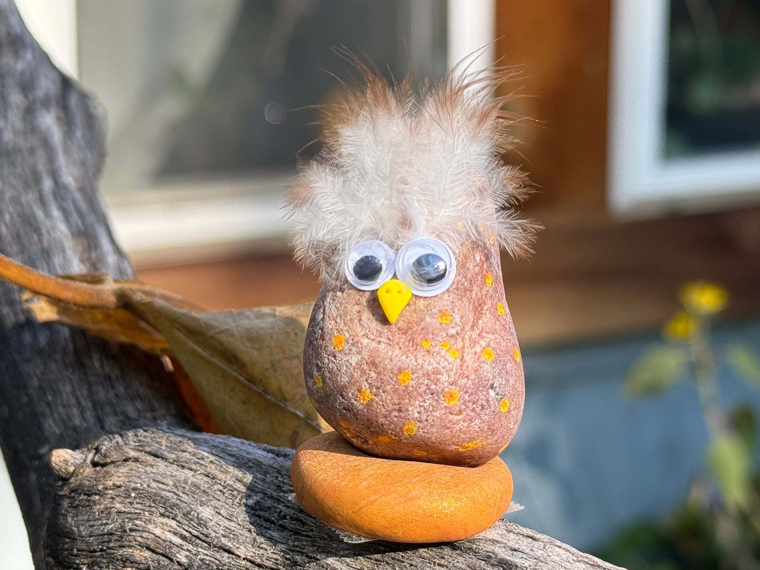 Cute googly eyed rock owl, with feathers #3