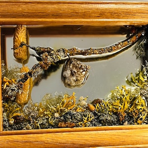 Puede incluir: Una obra de arte enmarcada en resina que presenta un diorama naturalista. La obra incluye plantas secas, musgo y una rama, encapsulados en resina transparente. El marco es de madera clara, creando un efecto de paisaje en miniatura.