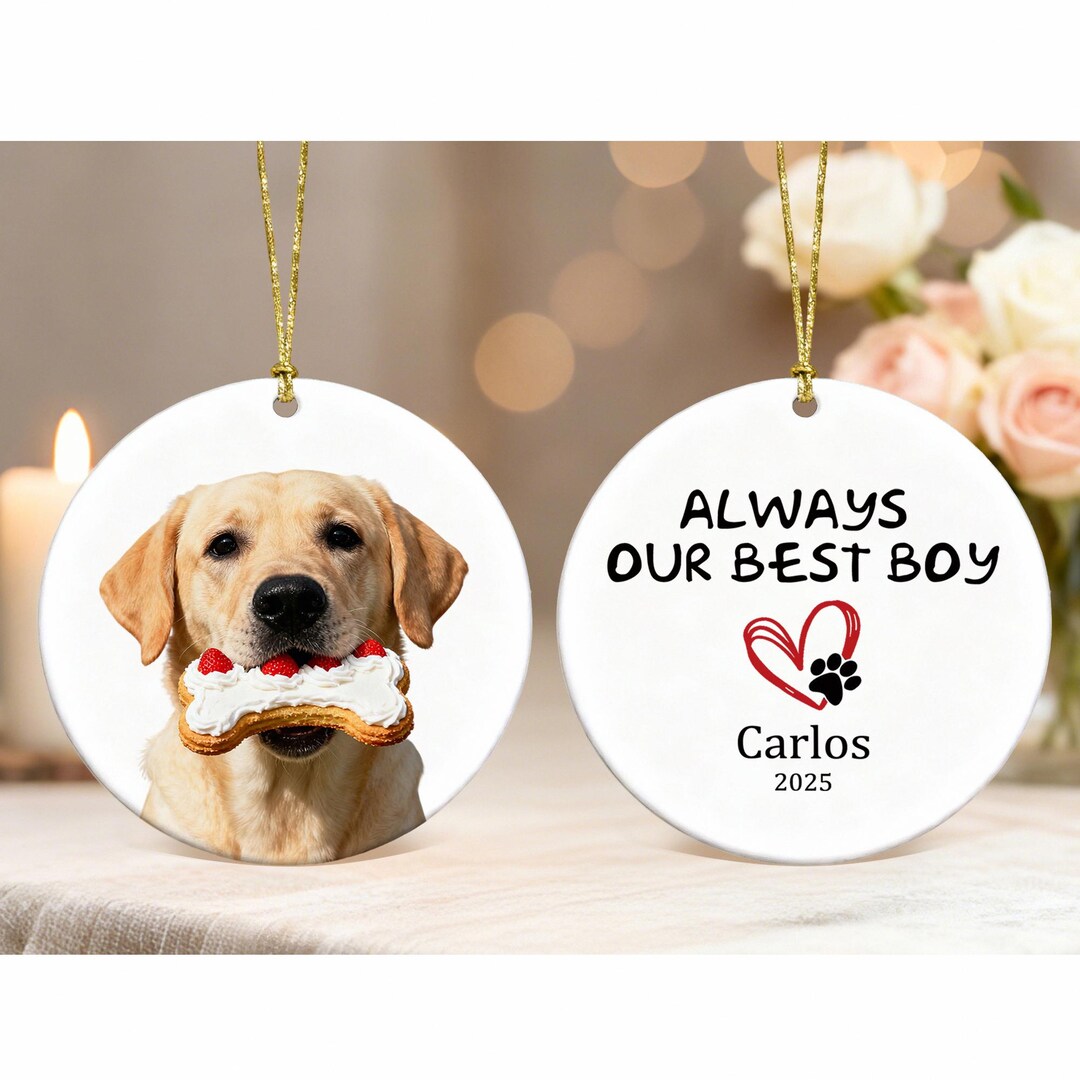 Custom Dog Cat Memorial Ornament, Pet Photo Loss Sympathy Gift for Pet ...