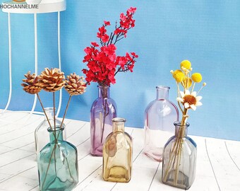 Colorful Glass Vase Transparent Simple Glass Bottle