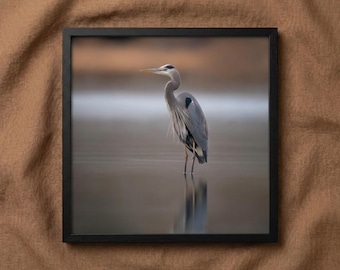 Blue Heron Art: Stilled Waters Wildlife Photorealistic Digital Painting DIY Downloadable and Printable Wall Art Prints