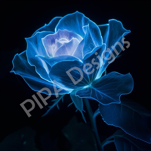 DOWNLOADABLE / PRINTABLE Botanical / Floral / Minimal / Modern Digital Artwork Whispers of Twilight Bioluminescent Rose on Black