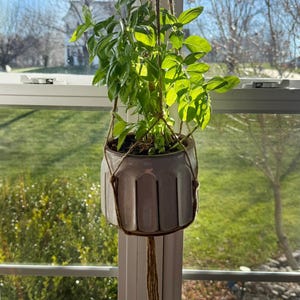 May include: A hanging ceramic planter with a plant inside. The planter is a light gray color with vertical grooves and is suspended by a natural fiber rope. The plant has bright green leaves, and the background shows a sunny outdoor scene.