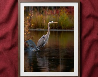Great Blue Heron Print: The Patient Observer Wildlife Photorealistic Digital Painting DIY Downloadable and Printable Wall Art Prints