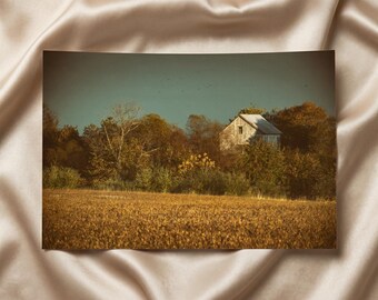 Fotografía a color de un granero abandonado entre los árboles – Arte rústico de pared estilo granja – Disponible como lámina, cuadro enmarcado o lienzo decorativo.