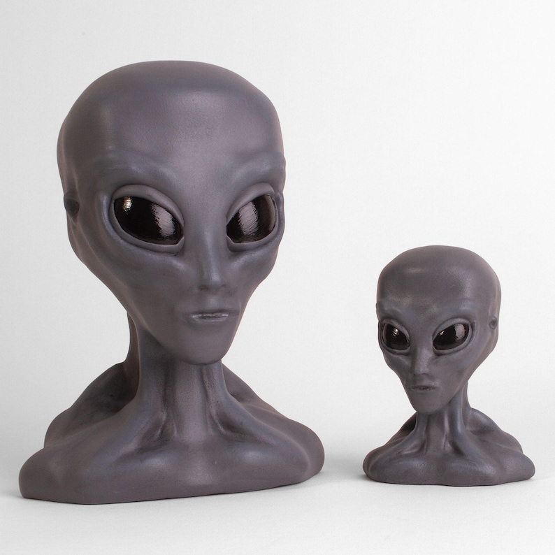 Grey Extraterrestrial Hand Painted, 3D Sculpted Bust - Gift for the ...