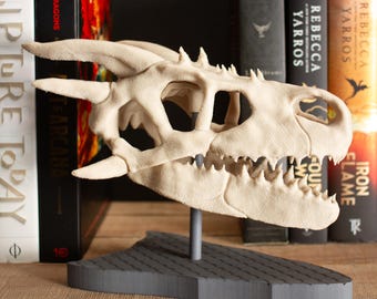 3D Printed Dragon Skull Fossil: Fantasy Book Shelf Decor