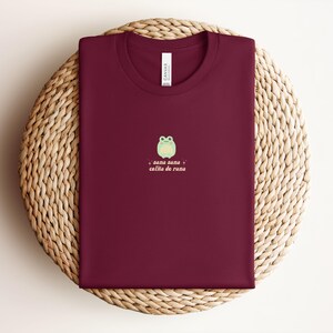 May include: A maroon t-shirt with a green frog graphic and the text "sana sana colita de rana" in pink and white.