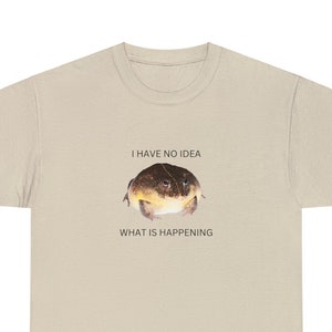 May include: A beige t-shirt with a graphic of a frog and the text "I have no idea what is happening".