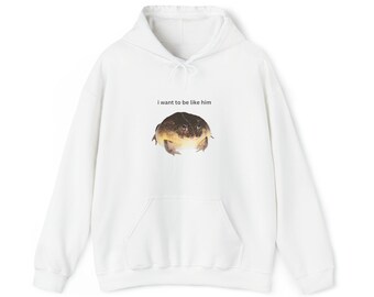Frog Hoodie, I Want to Be Like Him Hoodie Funny, Toad Sweatshirt, Froggy Hoody, Frog Lover Gift, Unisex, Oversized Relaxed Sweatshirt, Meme