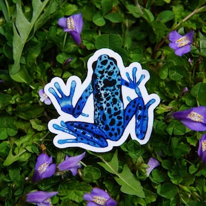May include: A blue and black poison dart frog sticker on a green background with purple flowers.
