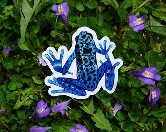 Blue Poison Dart Frog vinyl sticker - Amphibian Sticker, Wildlife Sticker, Gifts for Frog Lovers
