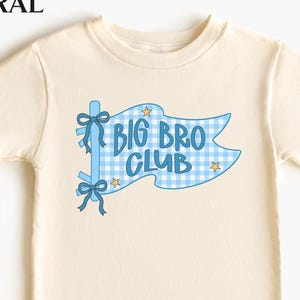 Big Bro Club Shirt, Toddler Big Brother Tee, Pregnancy Announcement Gift, New Baby Reveal Outfit, Pennant Flag Brother To Be Sibling Tee