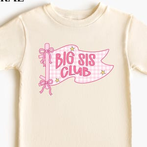 Big Sis Club Shirt, Toddler Big Sister Tee, Pregnancy Announcement Gift, New Baby Reveal Outfit, Pennant Flag Sister To Be Sibling Tee