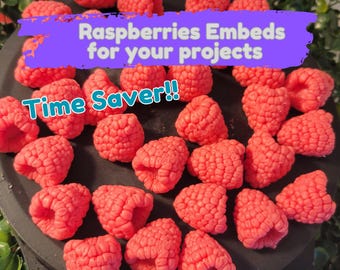 Raspberry Wax Melts Embeds