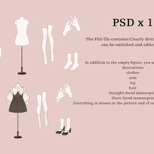 Body Base PSD |Female Body Base |  Unrigged | Custom Character Base| Customizable Doll |Procreate | photoshop