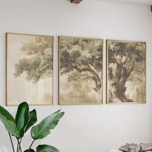 May include: Three framed art prints with sepia-toned tree illustrations. Each print has a gold frame. The artwork shows detailed tree branches and foliage against a soft, muted background, creating a vintage aesthetic.