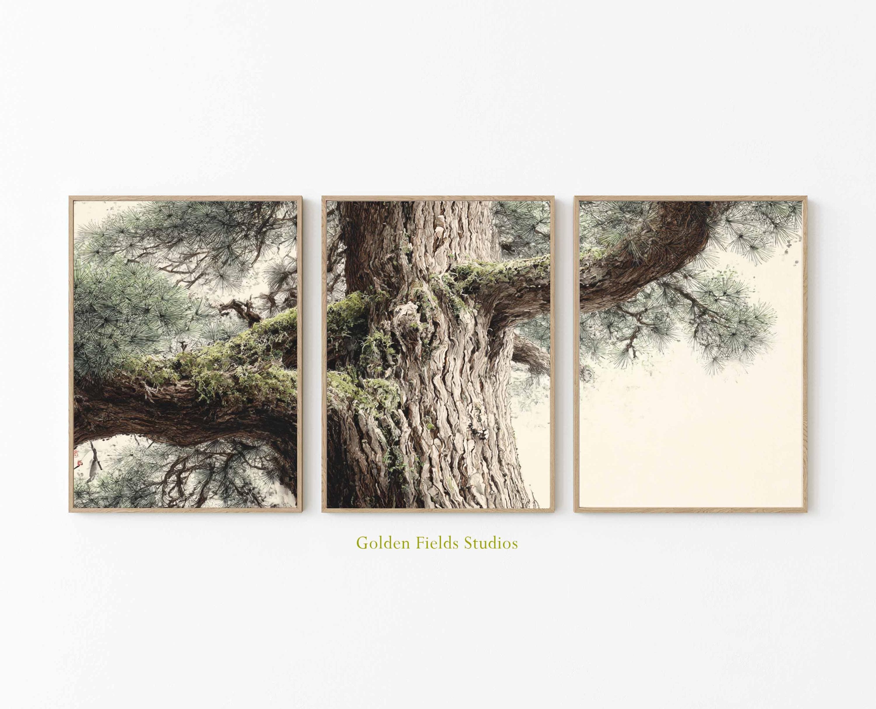 Japanese Tree Bark Triptych: Japandi Forest Art Prints - Etsy