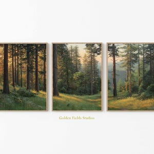 May include: Three framed landscape art prints depicting a forest scene with tall trees and a path. The artwork features a warm color palette with sunlight filtering through the trees, creating a serene and natural ambiance. The text "Golden Fields Studios" is visible.