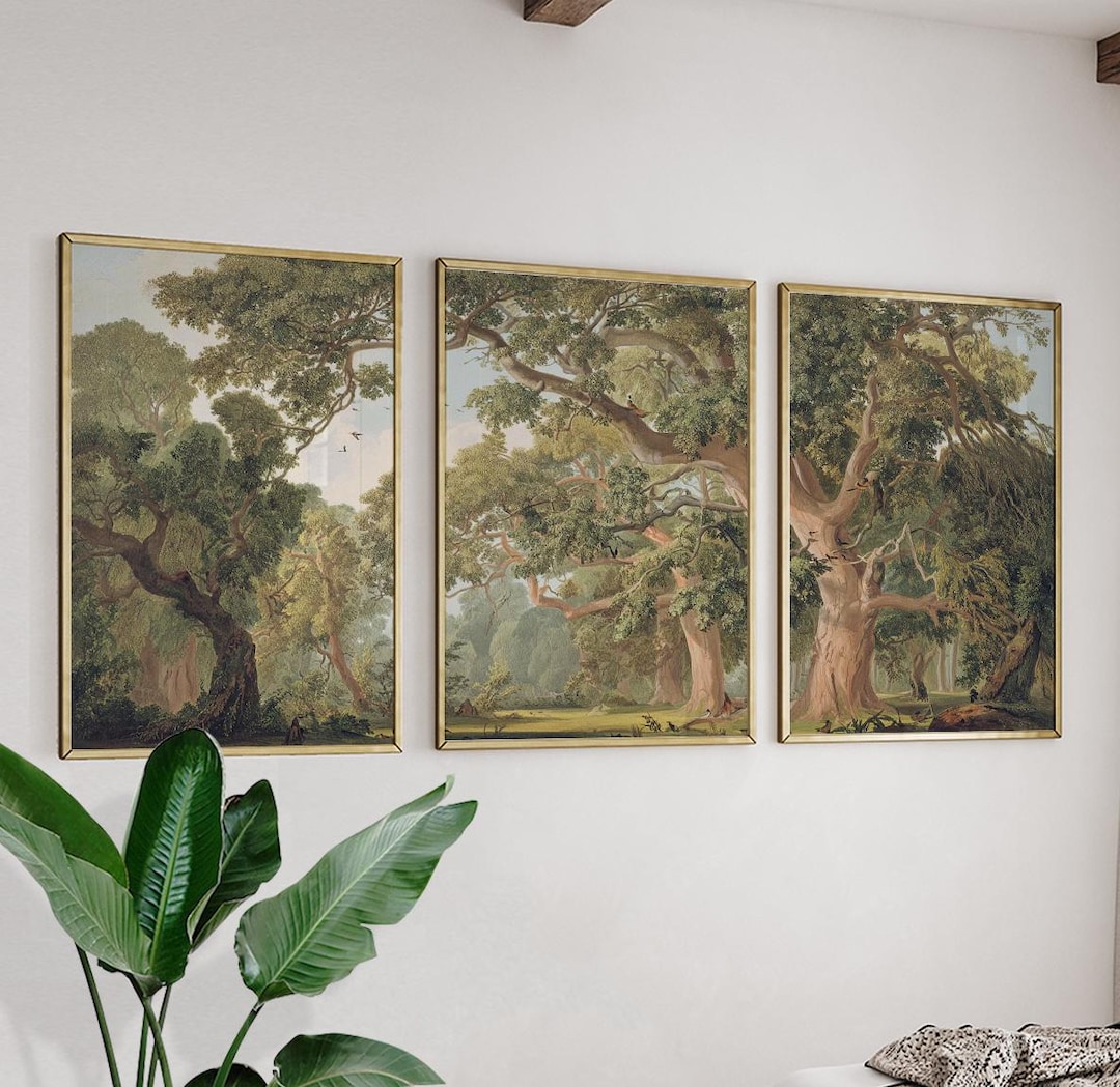 Vintage Forest Wall Art Posters Set of 3 | Green Woodland Landscape ...
