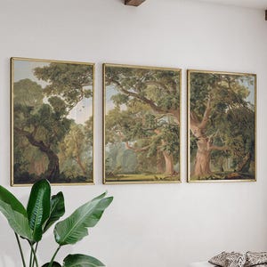May include: Three framed landscape paintings depicting a forest scene with large trees and lush greenery. The artwork features a muted color palette of greens, browns, and blues, with gold frames. The paintings are displayed on a white wall.