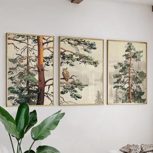 Könnte beinhalten: Set aus drei gerahmten Landschaftskunst-Drucken. Jeder Druck zeigt einen Baum oder Bäume mit grünem Laub und einem neutralen Hintergrund. Ein Druck zeigt eine Eule auf einem Ast. Die Rahmen sind goldfarben.
