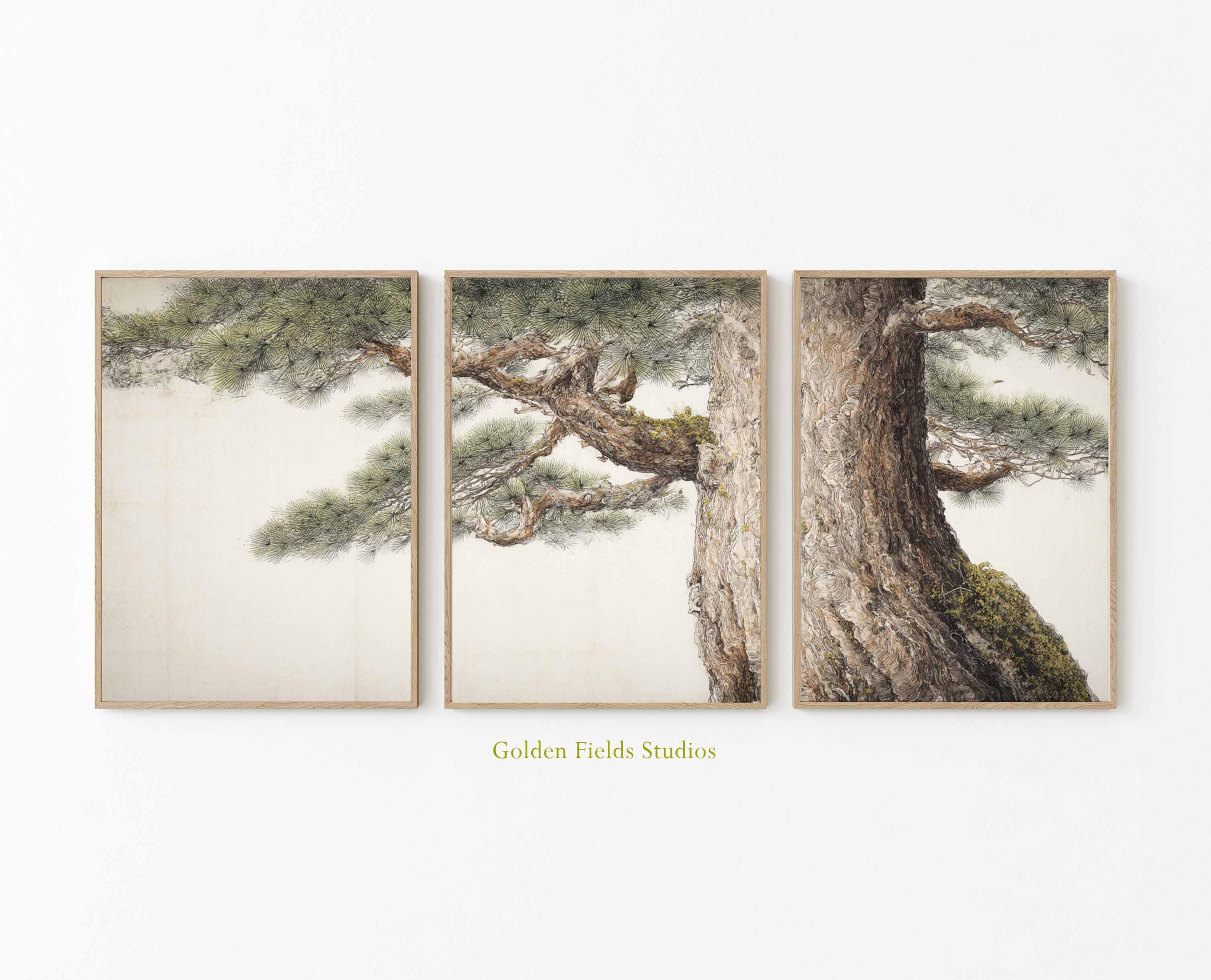 Japanese Tree Bark Triptych: Japandi Forest Art Prints - Etsy