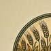 Golden Fields Studio