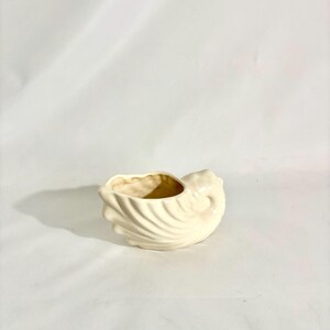May include: A cream-colored ceramic planter shaped like a seashell. The vessel features a glossy finish with prominent, curved, radiating ridges along its exterior surface, mimicking the natural texture and form of a conch shell with an open top.