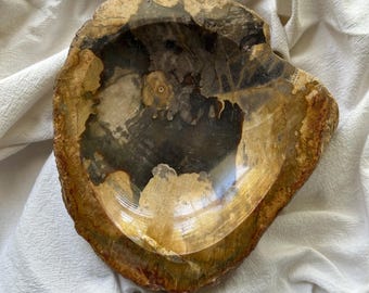 Indonesian Petrified Wood Bowl: Raw Edge Crystal Vessel