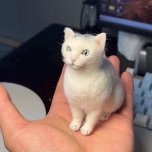 Custom Sculpture | Custom Felt Pets | Felt Wool Animals | Cat&Dog Memorial Gifts | Pet Replicas | Pet Memorial Gifts | Christmas Gifts