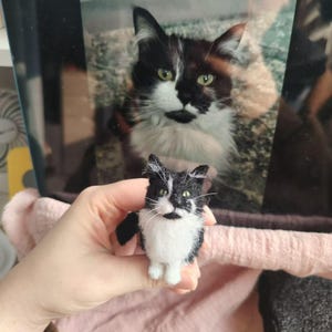Custom Needle Felted ragdoll cat Figurine| Custom Wool Felting Cat Portrait| Mother&#39;s day gift| Stuffed Cat Plush| Cat Lovers Memorial