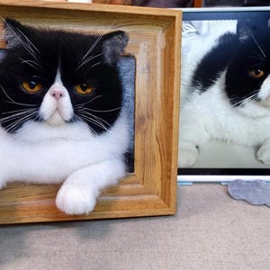 Cow Cat Customized Wool Felt 3D Portrait Photo Frame | Pet Loss Gifts | Mother&#39;s Day Gifts | Cat Plush Toys | Cat Lovers Memorabilia