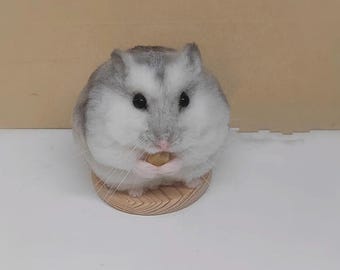 Handgemachte Nadel Gefilzte Hamster | Neuseeland Wolle, Schreibtisch Dekor, Geschenk zum Vatertag