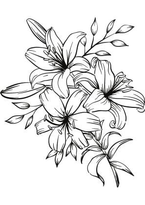 Orchid Flower Coloring Book Floral Coloring Page Printable - Etsy