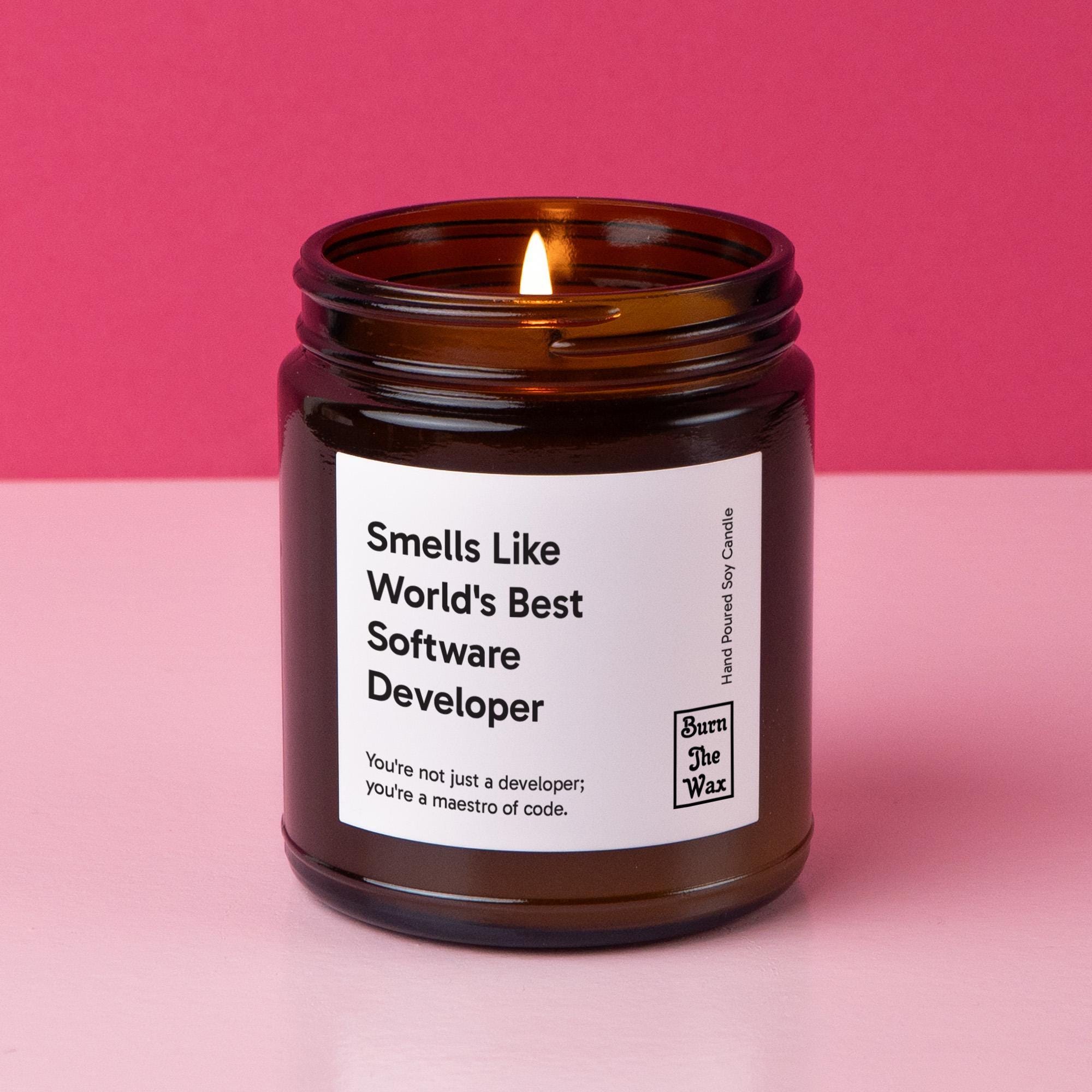 Smells Like World's Best Software Developer Soy Candle | Software Developer Gift, Gift for Software Developer, Christmas Gift