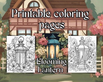 Libro para colorear de linternas de cabaña en flor, 20 páginas para colorear de linternas de jardín, Descarga instantánea, Archivo JPG, Coloración central de cabañas, Imprimible
