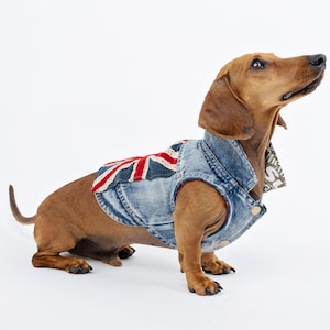 Dog Biker Vest Jacket Denim Dog Vest For Dogs Stylish Dog Jacket Tiny Dog Clothes Denim Dog Jacket Small Dog Jacket Yorkie Clothes