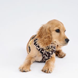 Animal Print  - A Chic Statement for Your Stylish Pup! Crafted from luxurious velvet, this harness ensure your pup stands out in style.