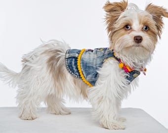 May include: A small dog with white and brown fur wearing a denim vest with yellow trim and a colourful collar. The dog is standing on a white surface against a white background. The vest has a button closure.