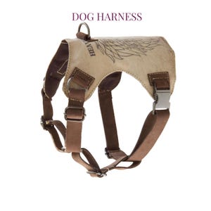 May include: Tan and brown dog harness featuring a wing design and the word "HEAVEN". The harness has adjustable straps, metal buckles, and a metal ring for leash attachment. The harness is made of leather.