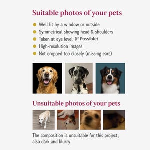 Custom Pet Photo Slippers – Personalised Dog Face Slippers, Custom Dog Gift, Pet Lover Gift, Dog Portrait Slippers, Gift For Dog Mom image 9