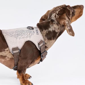 Op de afbeelding: Een hondentuigje met een beige borstplaat met een vleugelontwerp en de tekst "MY SENT". Het tuigje heeft bruine bandjes en metalen hardware. De hond heeft bruine en witte vacht.