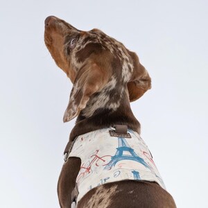 May include: A dog with brown and white markings wearing a harness. The harness has a cream background with a blue Eiffel Tower, red bicycle, and script. The dog is looking upwards.