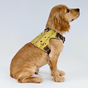May include: A golden dog wearing a yellow dog harness with a brown and red leaf pattern. The harness has brown straps and metal hardware. The dog is sitting and looking to the right against a white backdrop.