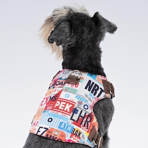 May include: A dog seen from behind wearing a patterned harness. The harness is adorned with travel destination labels, including airport codes such as PEK and LHR. The design incorporates red, blue, and white text, with brown leather straps.